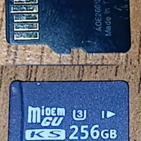 Çip 256 GB