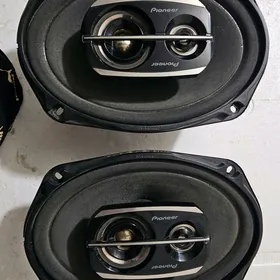 nikil kalonka arginal 500w