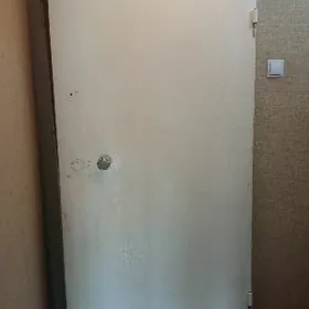 Дверь железная