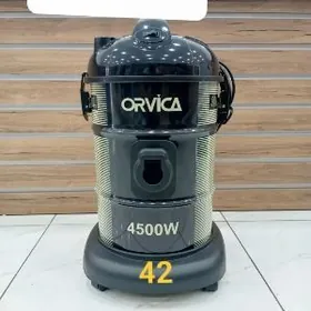 Tozan soryjy(Plesos)