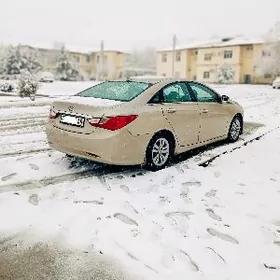 Hyundai Sonata 2010