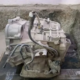 duty kemri karopka 2.4