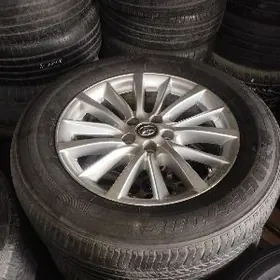 haylandyr diska ARGINAL