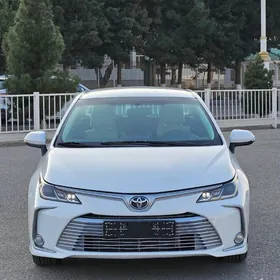 Toyota Corolla 2021
