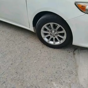 carolla teker we disga