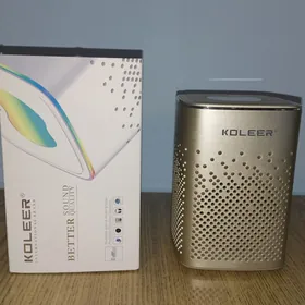 Колонка Koleer