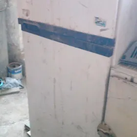 Satlyk  haladenikler