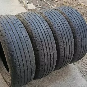 205.65.15  komplekt 2024ý