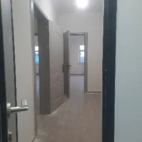 Satlyk jay Sentralnyy mkr