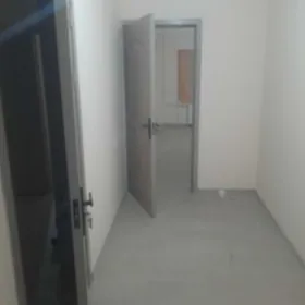 Satlyk jay Himik mkr