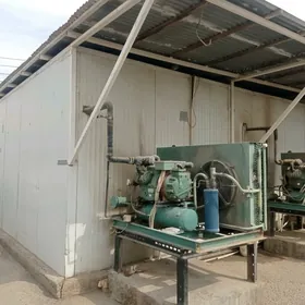 arenda holadilnik morazilnik