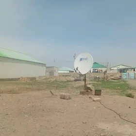 Anew magtymguly mellek