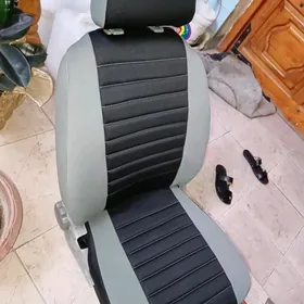 sisidenya chehol taze