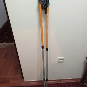 Палки для ходьбы