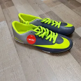 сороканожки