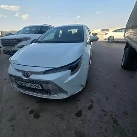Toyota Corolla 2021