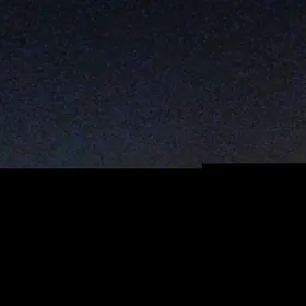 Gogol poluelitka 4 kom arzan