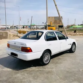 Toyota Corolla 1995