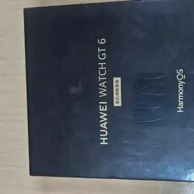 Akylly sagat smart sagat