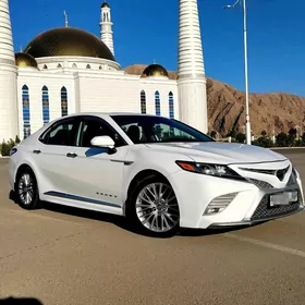 Toyota Camry 2020