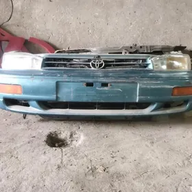 Samsyk kemri kelte morda