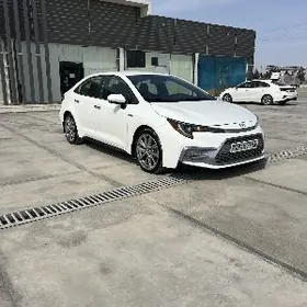 Toyota Corolla 2021