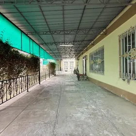 Änew 6 sotok kotej lux jaÿ