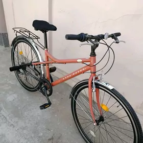 yaponka arginal 27 lik