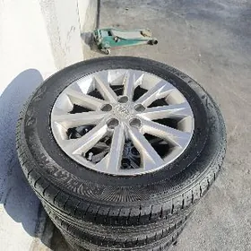 16 palta disga pakrysga