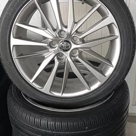 19 lik diska pakriska kemri