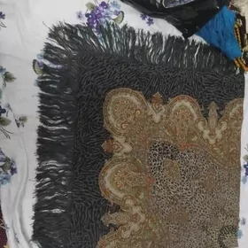 SSSR pavlo pasat cargat