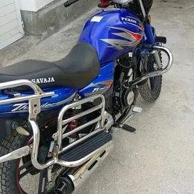 Fekon FK200-14G 2025