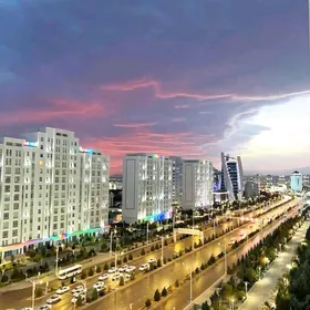 Eyesinden Arenda jay Aljak.