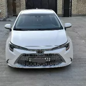 Toyota Corolla 2020