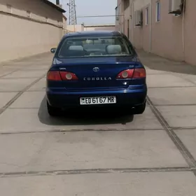 Toyota Corolla 2001