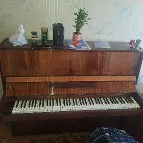 Пианино Ноктюрн