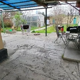 Satlyk Plan Bekrewe 5 sotuk