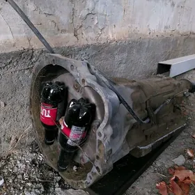 karopga 2 lik kresda