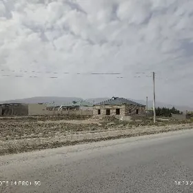 usso gerek  kerpic oryan