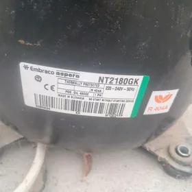 Haladynygyn̈ matory uly argyna