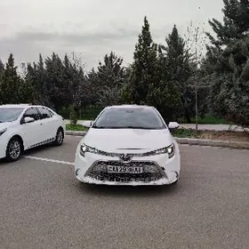 Toyota Corolla 2021