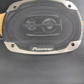 Pioner kalonka 500w