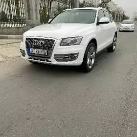 Audi Q5 2009