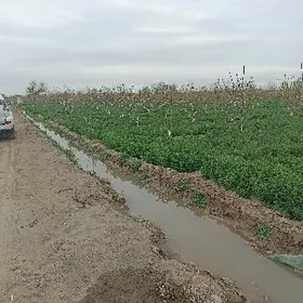 Ишгар герек эркек