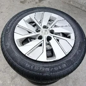 16 Nisan radnoy disga pakrysga