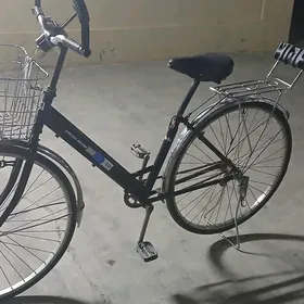 T I G I R... YAPOSKA...