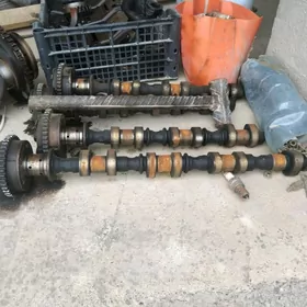 wanus resperdwal kaptiwa