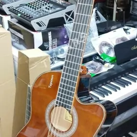 gitara TAPESUN
