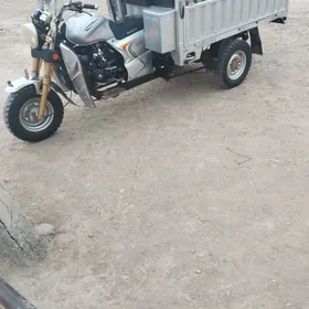 Fekon FK200-14G 2023