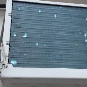 chigo kansaner 32lik